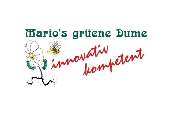 Mario’s grüene Dume